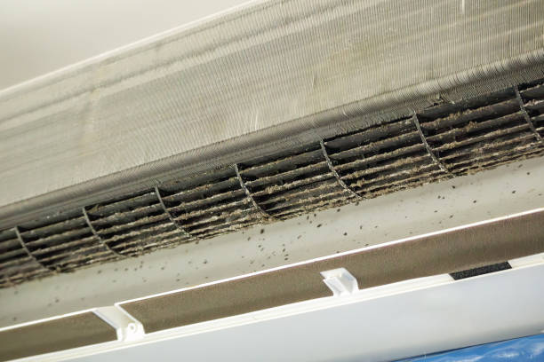 Best Air Duct Cleaning Near Me  in Mcqueeney, TX